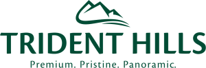 trident reality logo